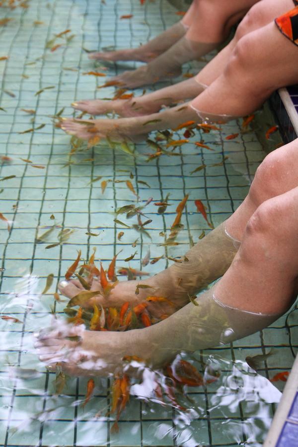 Jenq Yang Hotspring Hotel Renai Bagian luar foto